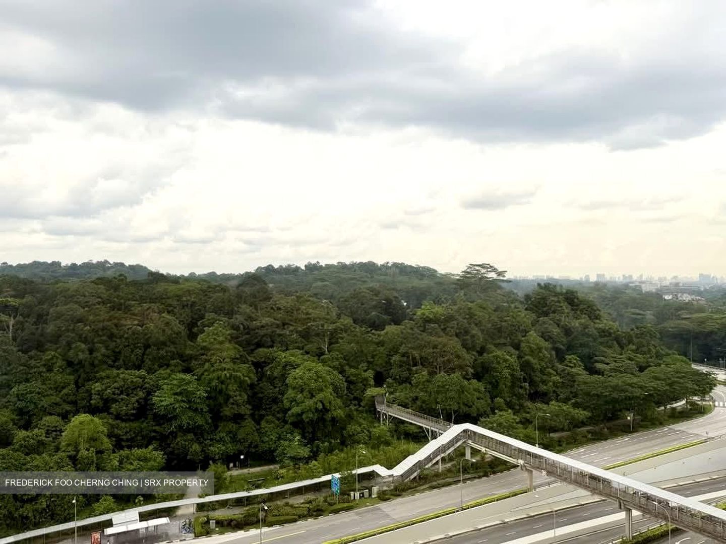 Bukit Timah Shopping Centre (D21), Office #533713101